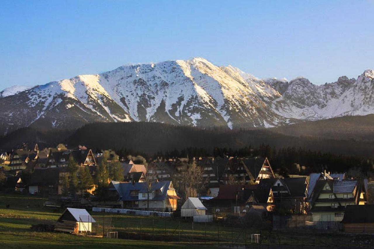 Domki U Wilka Poronin Exteriör bild